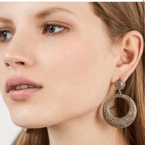 Elegant Silver Hoop Earrings NWT